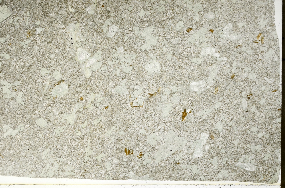 Plane Polarized, S71241