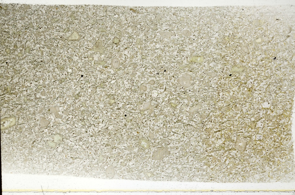 Plane Polarized, S71242