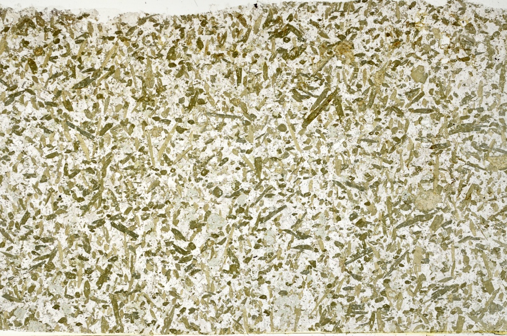 Plane Polarized, S71244