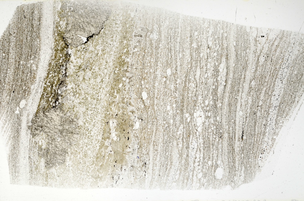 Plane Polarized, S71285
