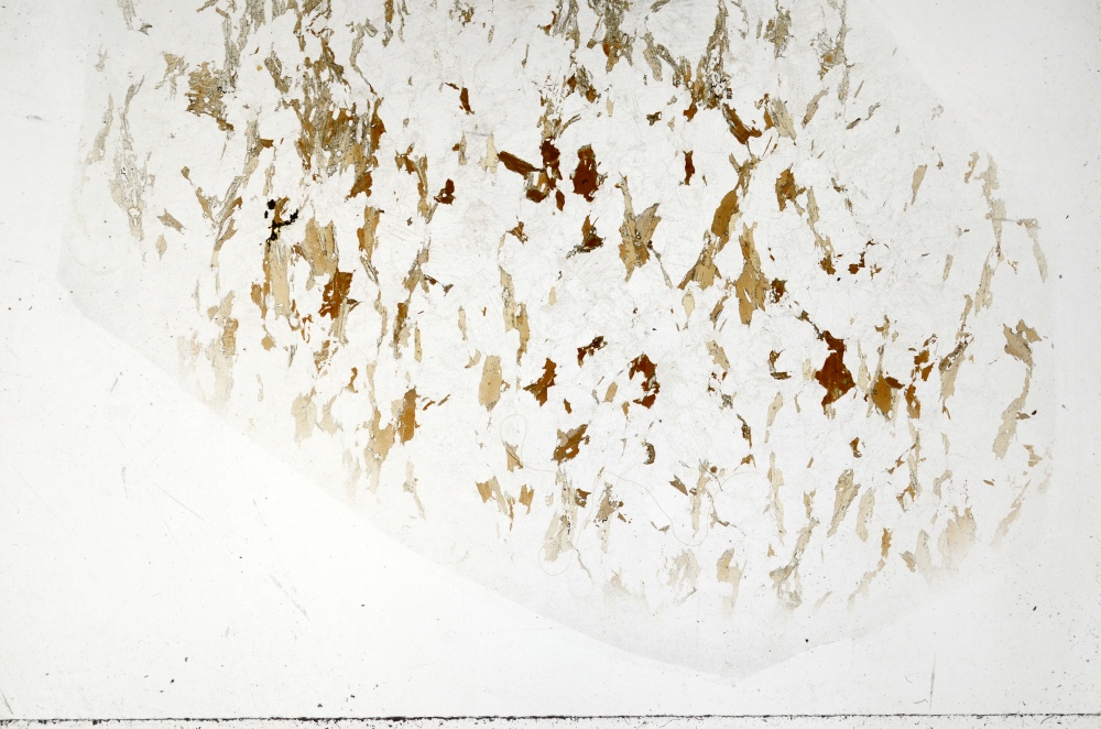 Plane Polarized, S71288