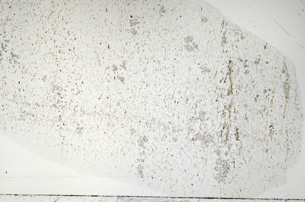 Plane Polarized, S71292