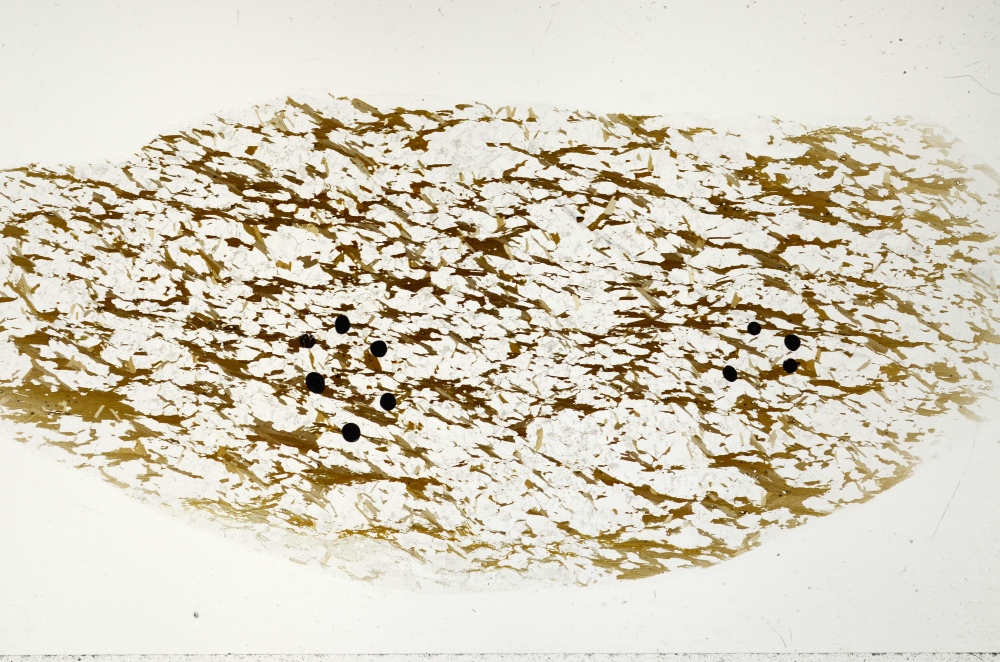 Plane Polarized, S71297