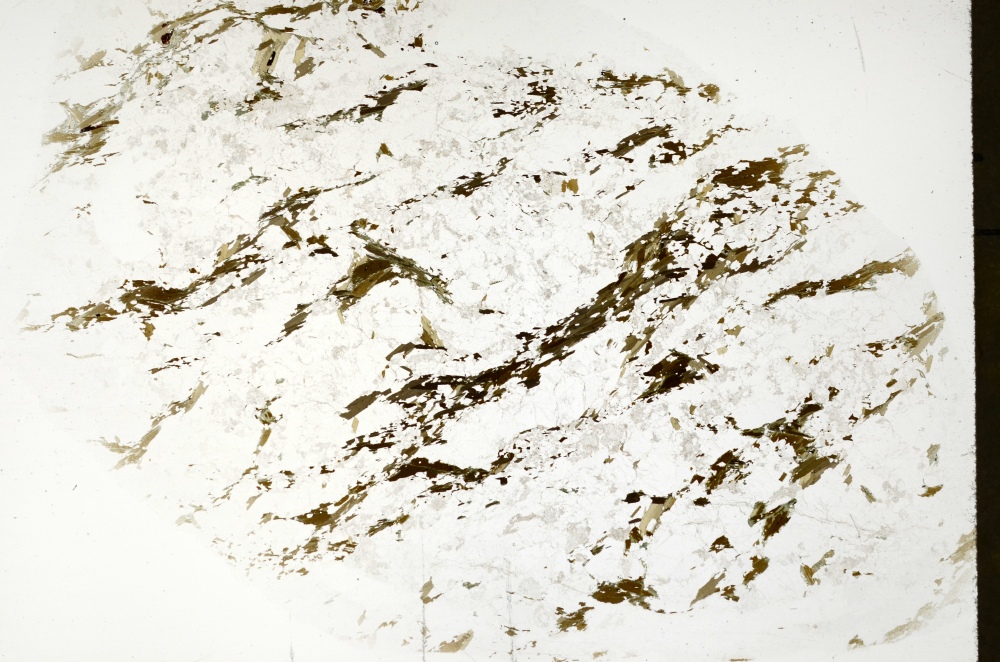 Plane Polarized, S71307