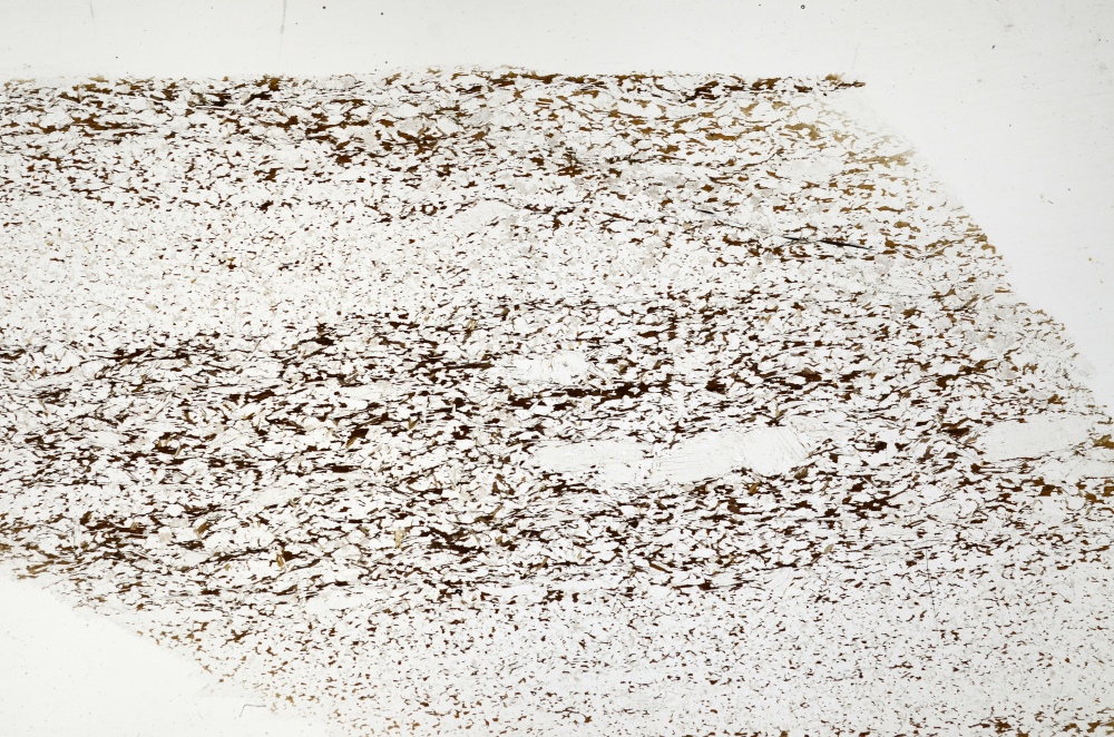 Plane Polarized, S71331