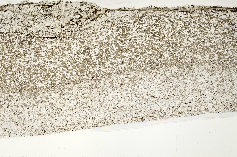 Plane Polarized, S71349