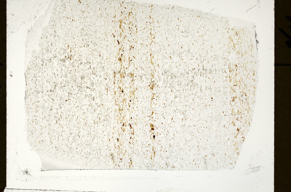Plane Polarized, S71353