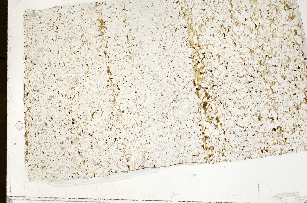 Plane Polarized, S71362