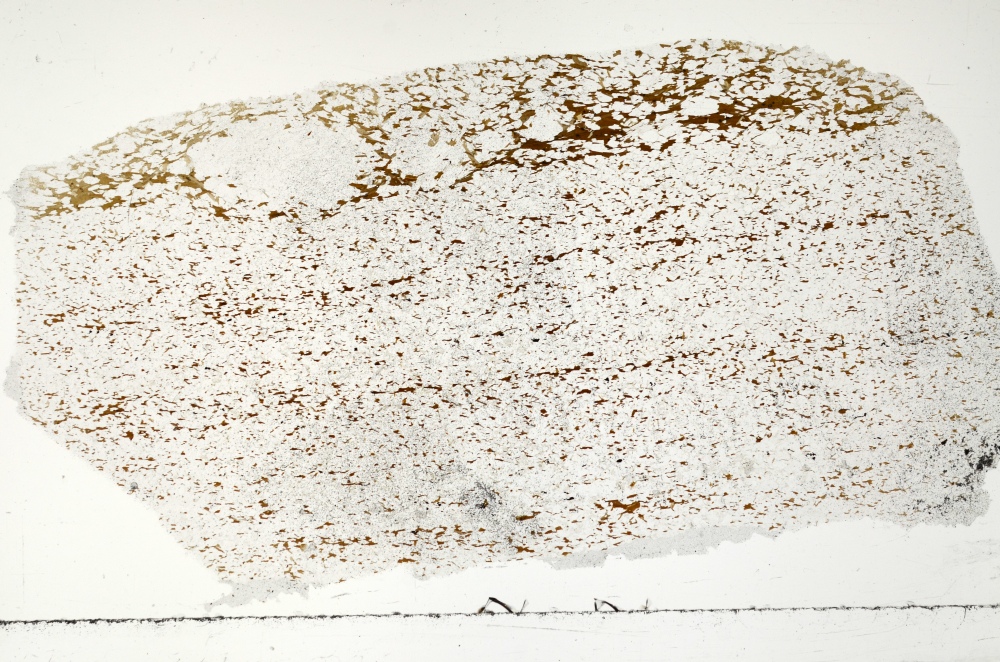 Plane Polarized, S71369
