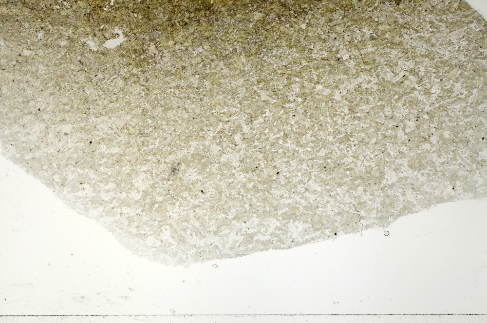 Plane Polarized, S71372