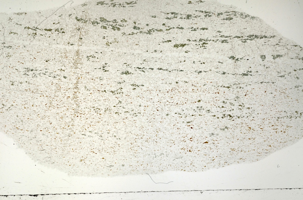 Plane Polarized, S71377