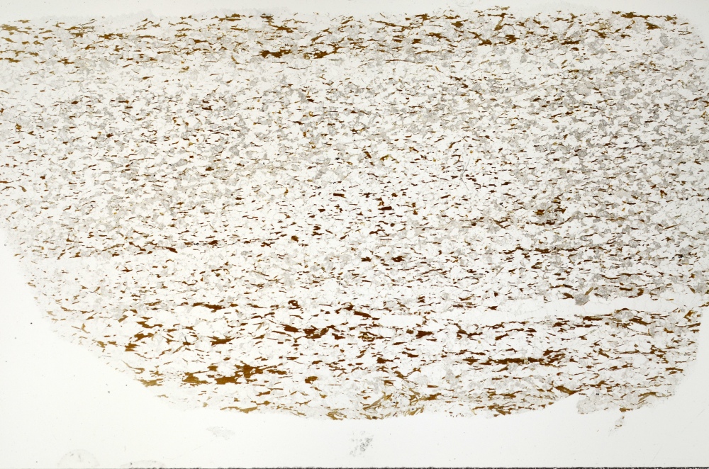 Plane Polarized, S71381