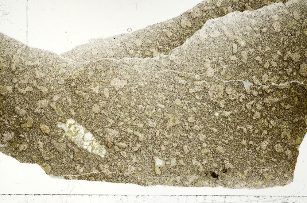 Plane Polarized, S71383