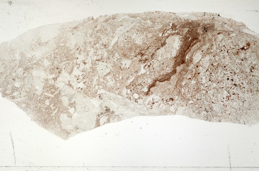 Plane Polarized, S71385