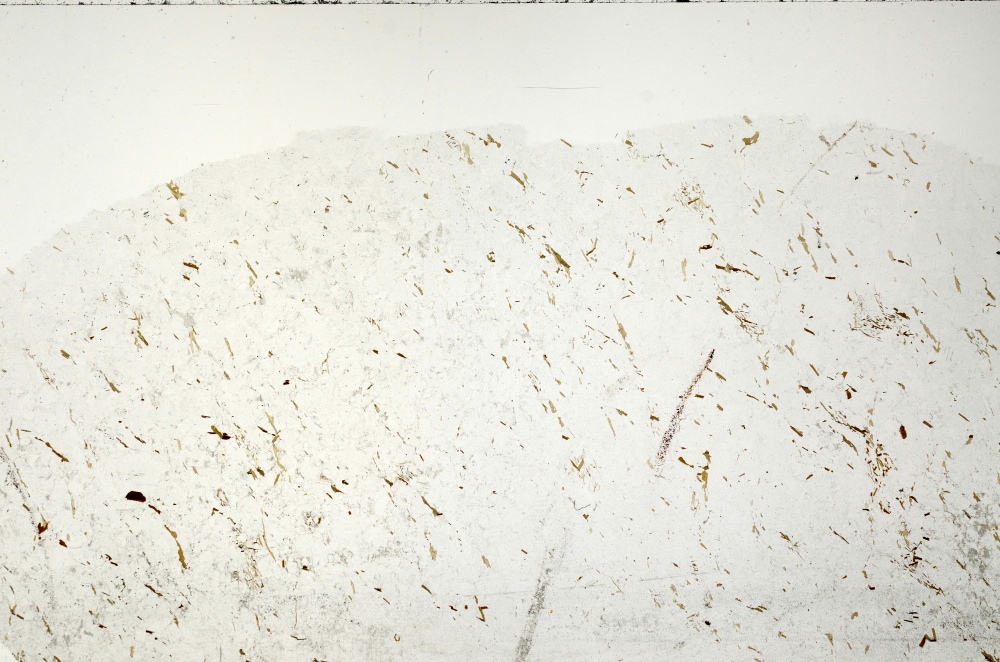 Plane Polarized, S71387