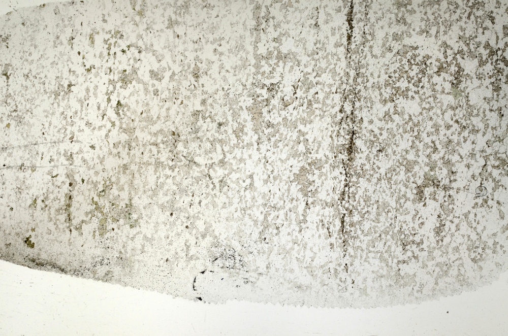 Plane Polarized, S71388