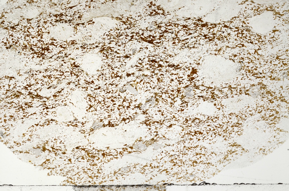 Plane Polarized, S71391