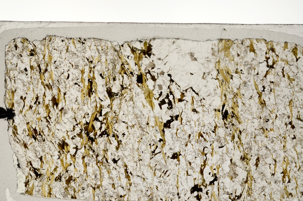 Plane Polarized, S71404