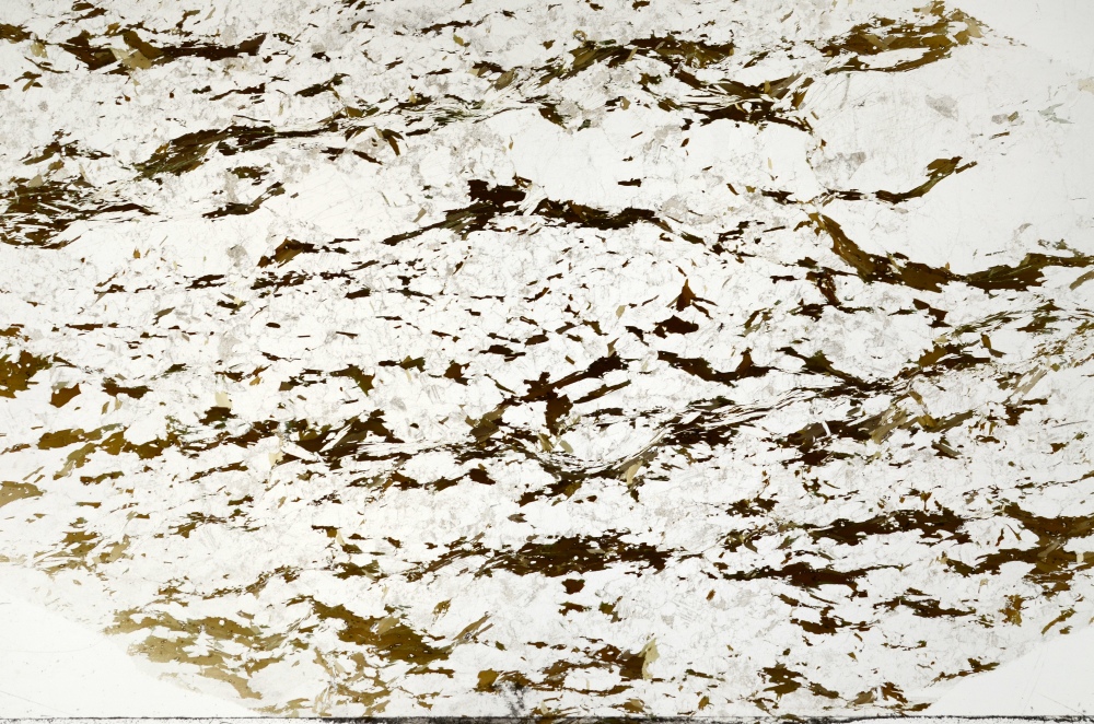 Plane Polarized, S71404/A