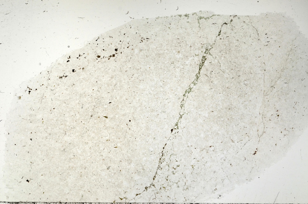 Plane Polarized, S71409