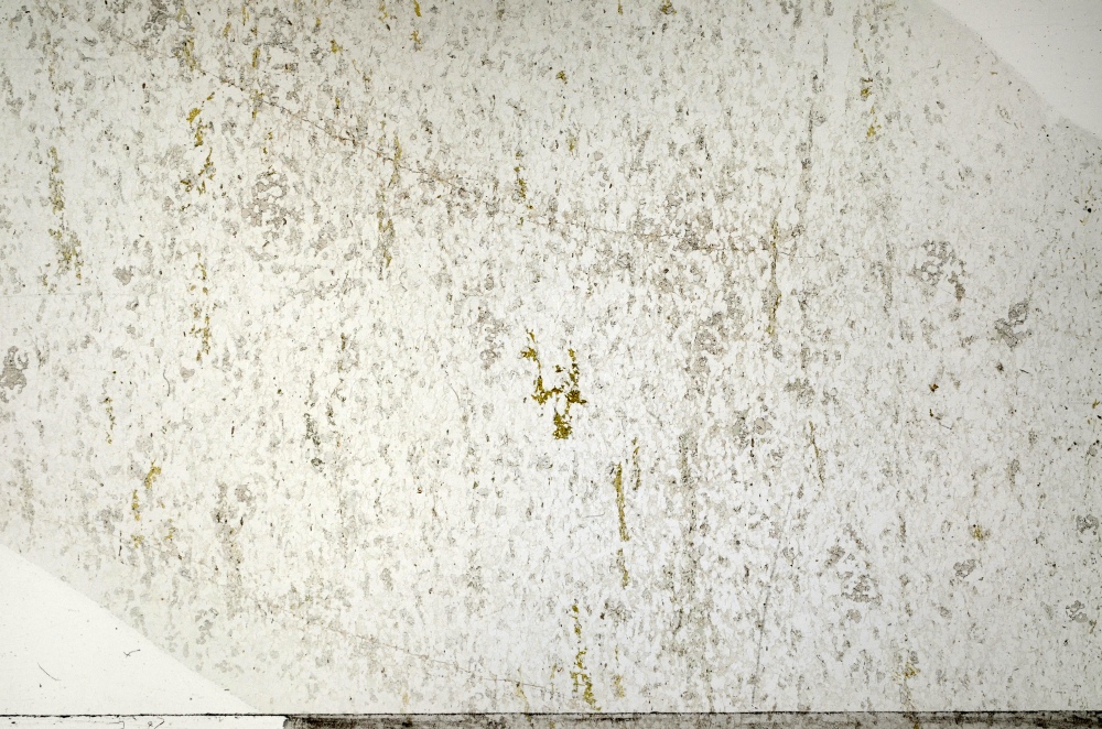 Plane Polarized, S71420