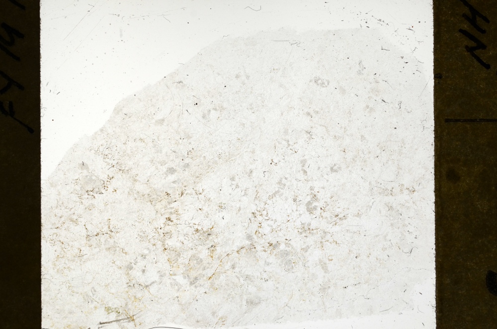 Plane Polarized, S71423