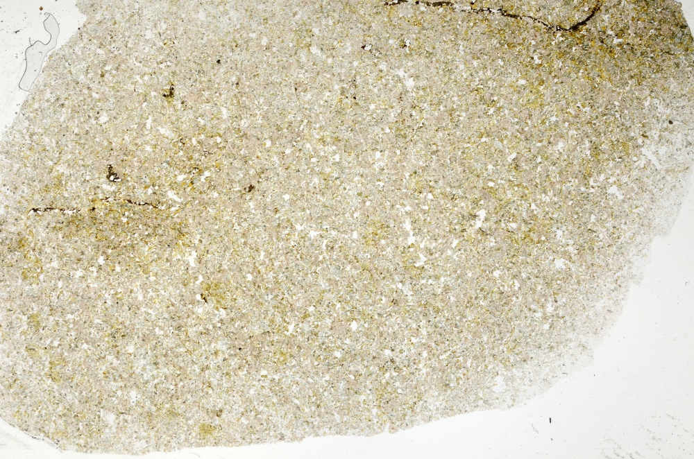 Plane Polarized, S71424