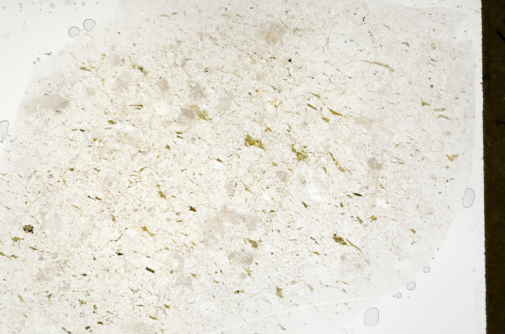 Plane Polarized, S71425