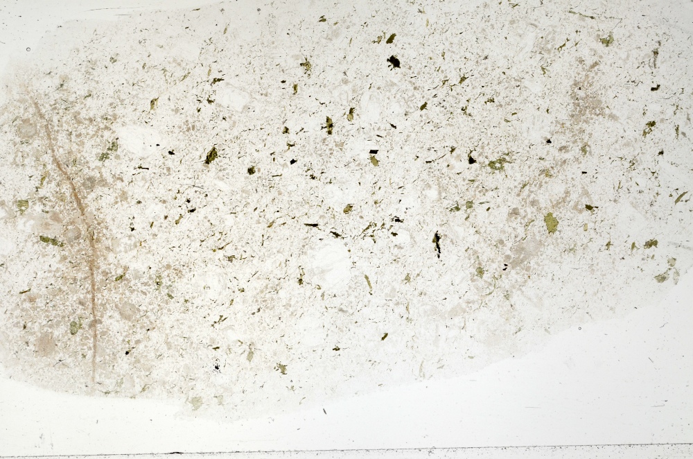 Plane Polarized, S71426