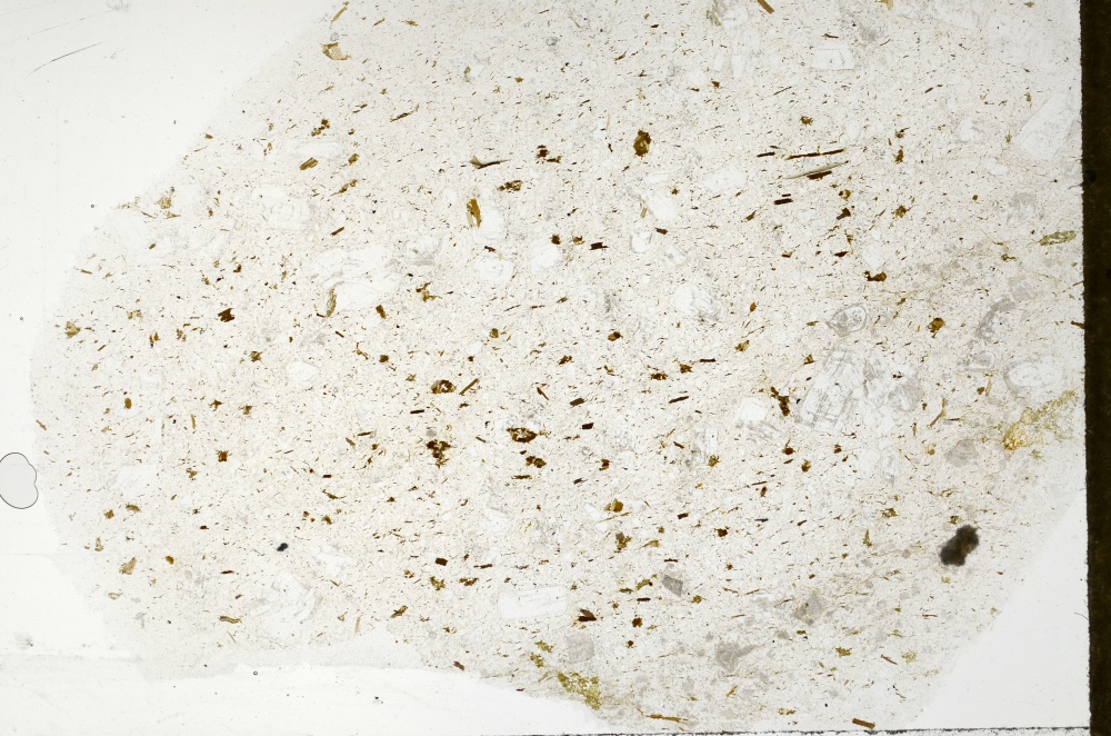 Plane Polarized, S71427