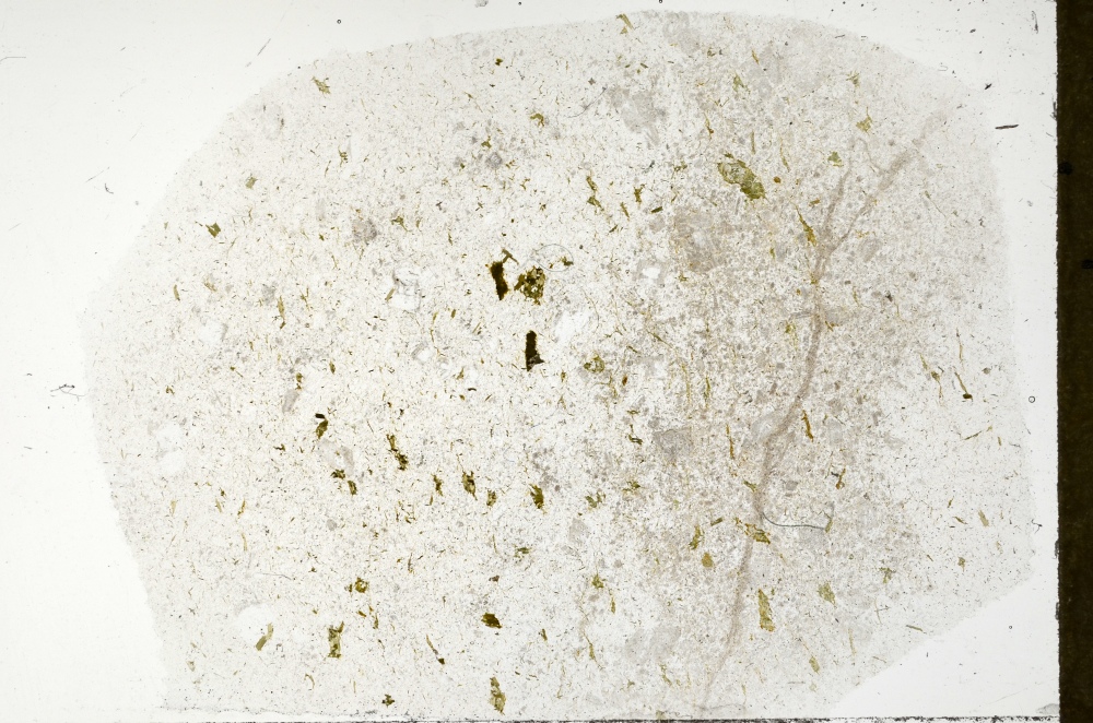 Plane Polarized, S71428