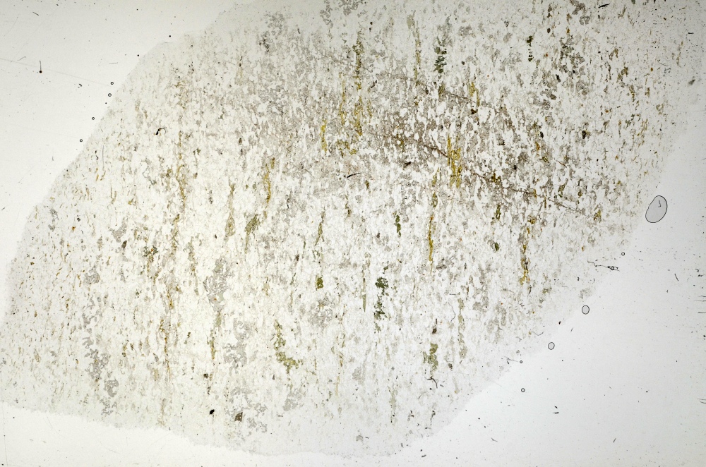 Plane Polarized, S71429