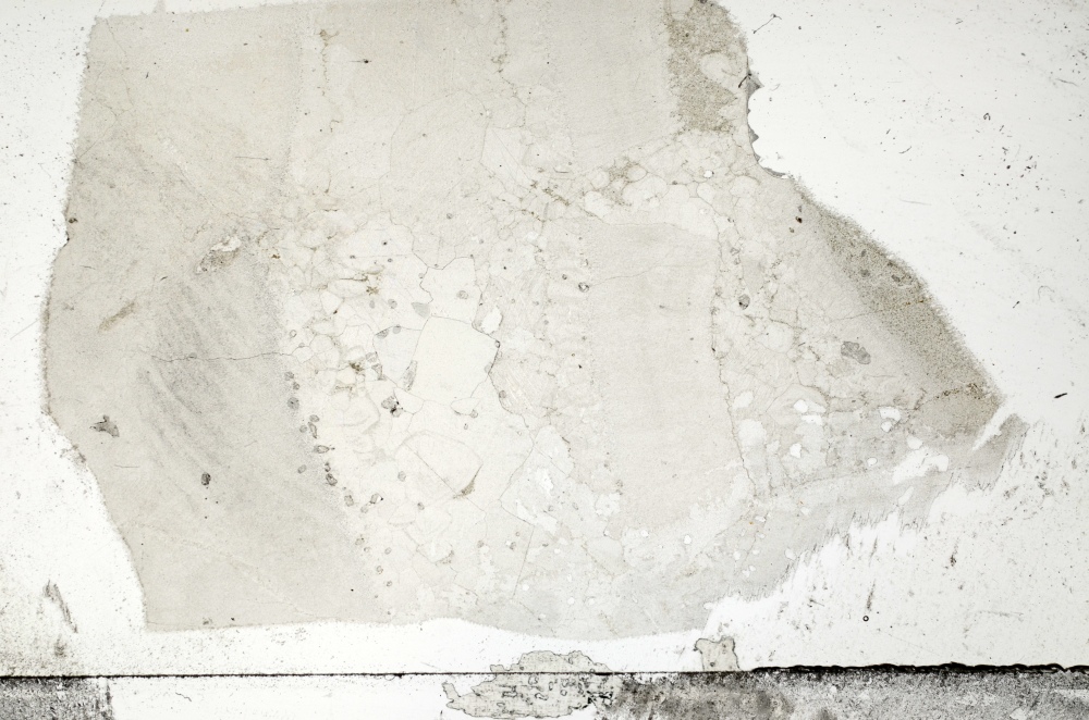 Plane Polarized, S71432