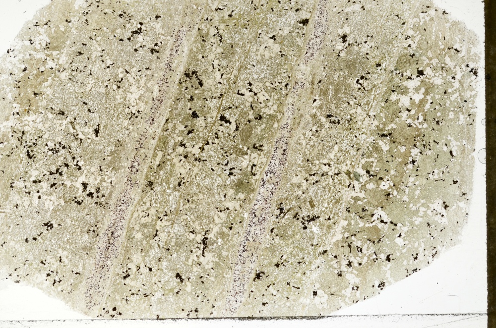 Plane Polarized, S71434