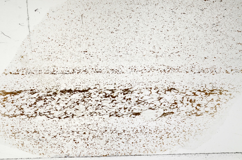 Plane Polarized, S71447