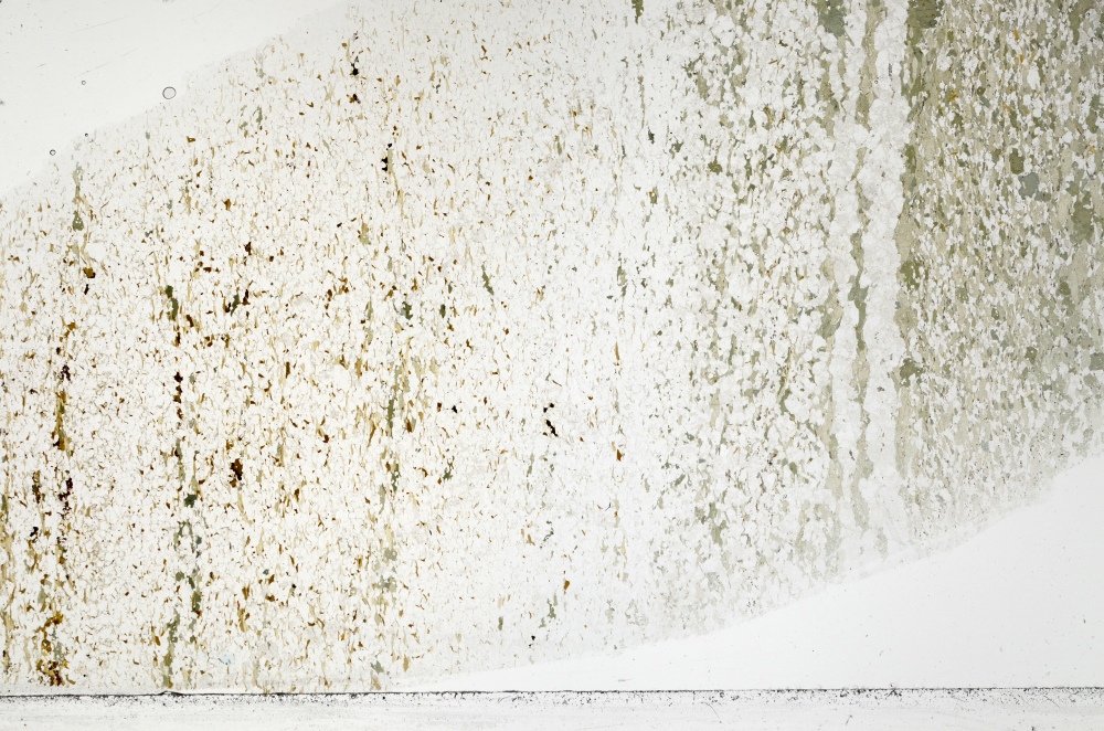 Plane Polarized, S71450