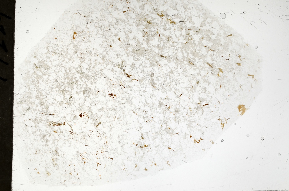 Plane Polarized, S71454