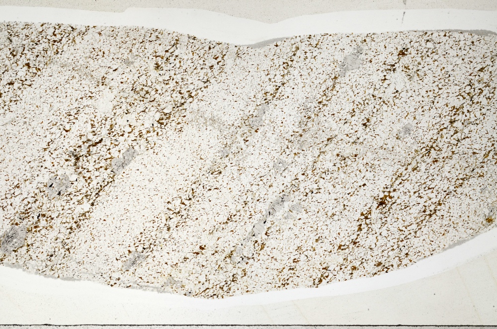 Plane Polarized, S71505/A