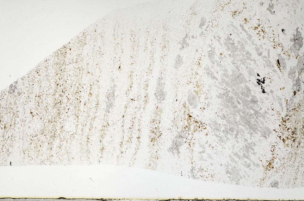 Plane Polarized, S71506/A