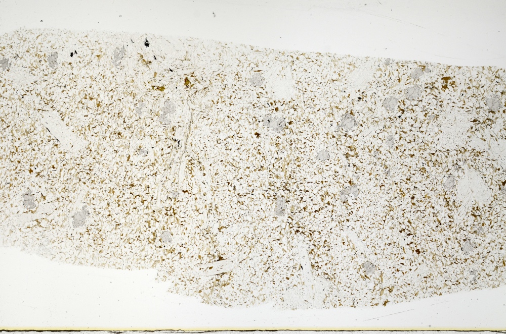 Plane Polarized, S71507