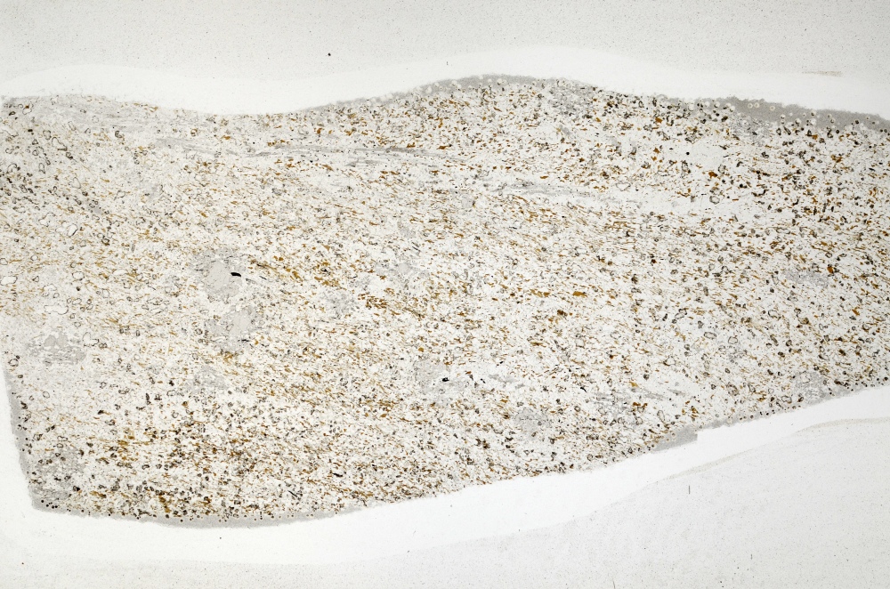 Plane Polarized, S71509/A