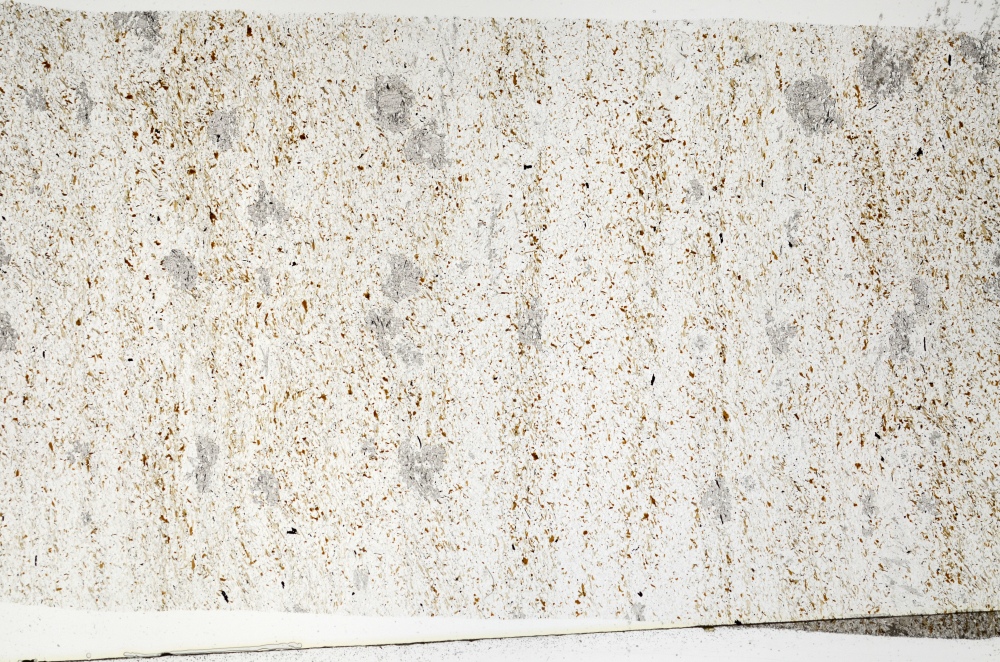 Plane Polarized, S71509/B