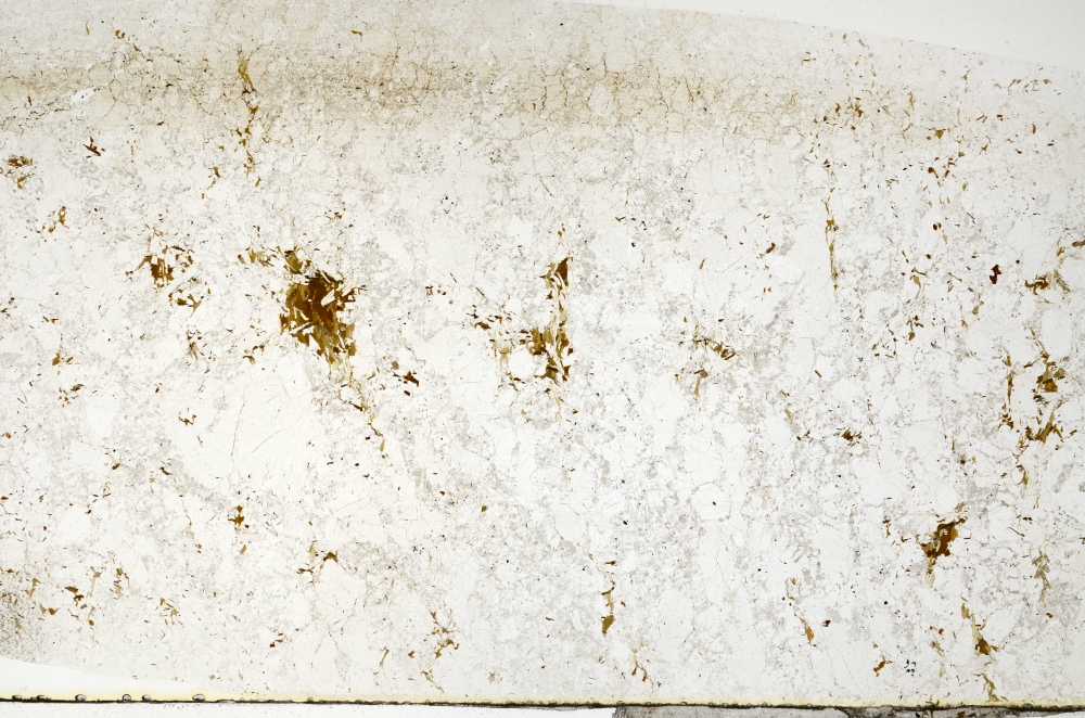 Plane Polarized, S71517