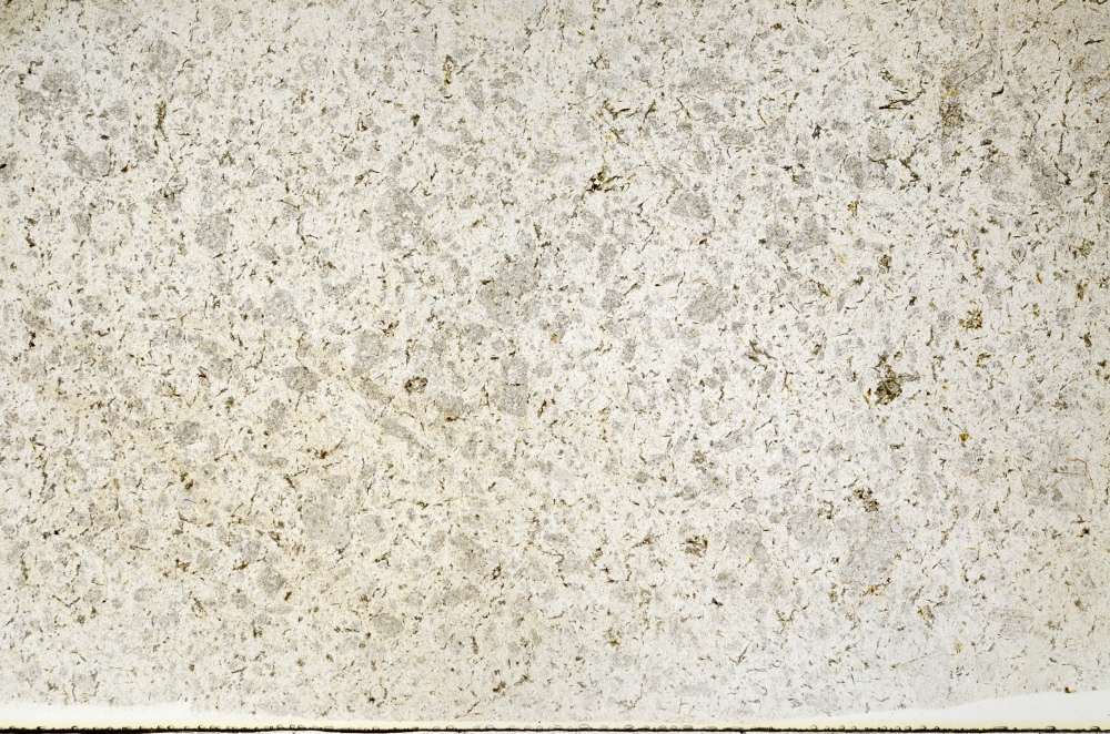 Plane Polarized, S71518