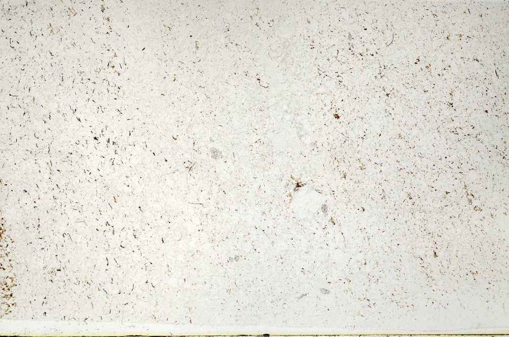Plane Polarized, S71524