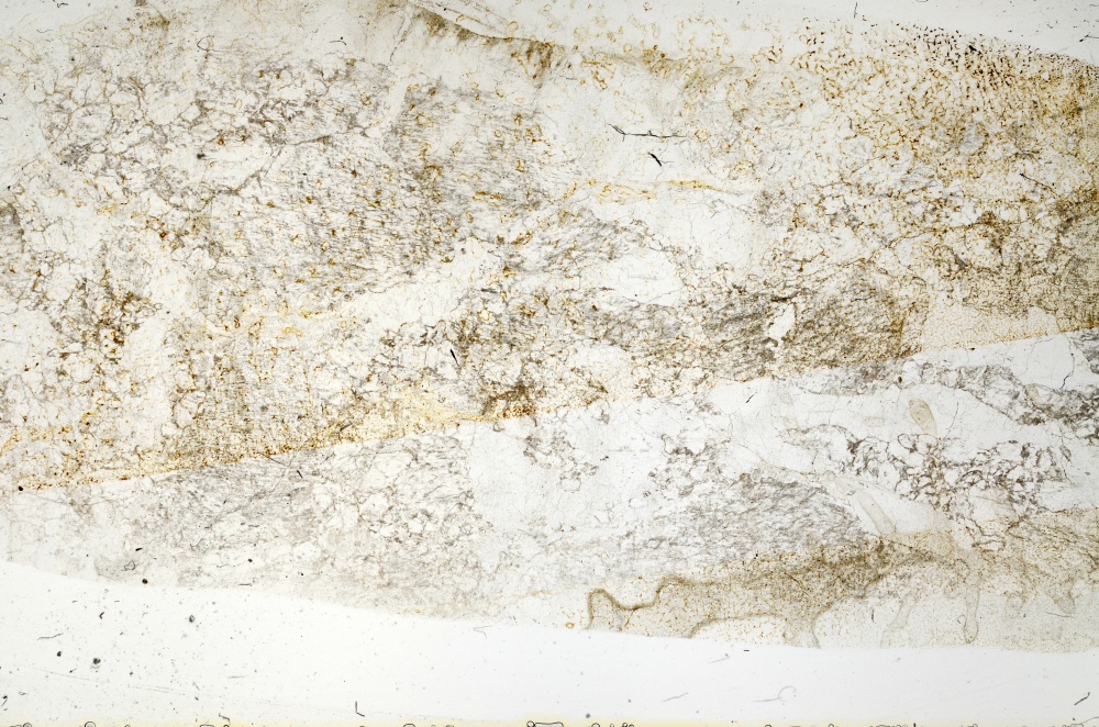 Plane Polarized, S71533