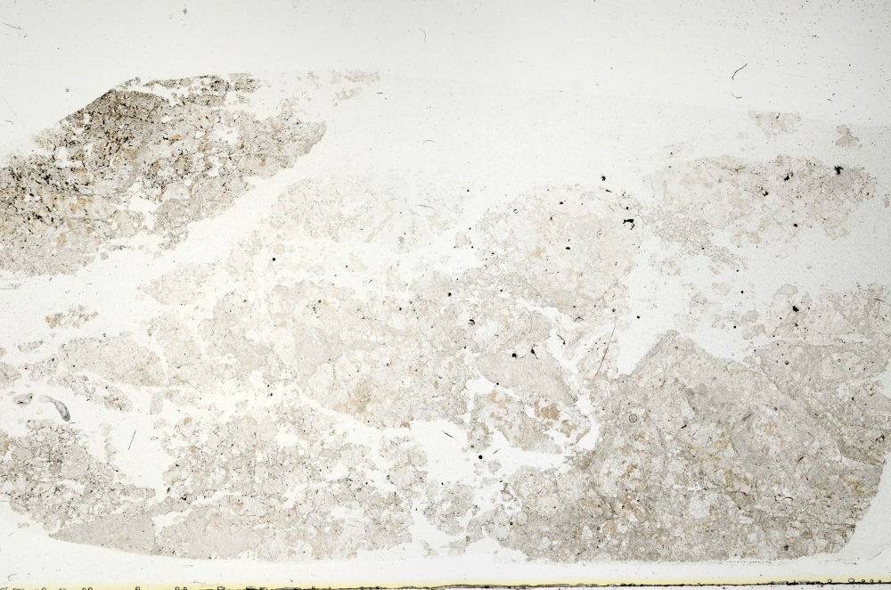 Plane Polarized, S71538