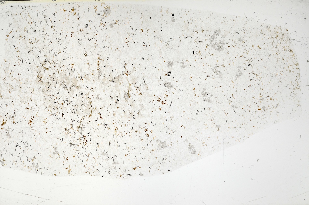 Plane Polarized, S71540