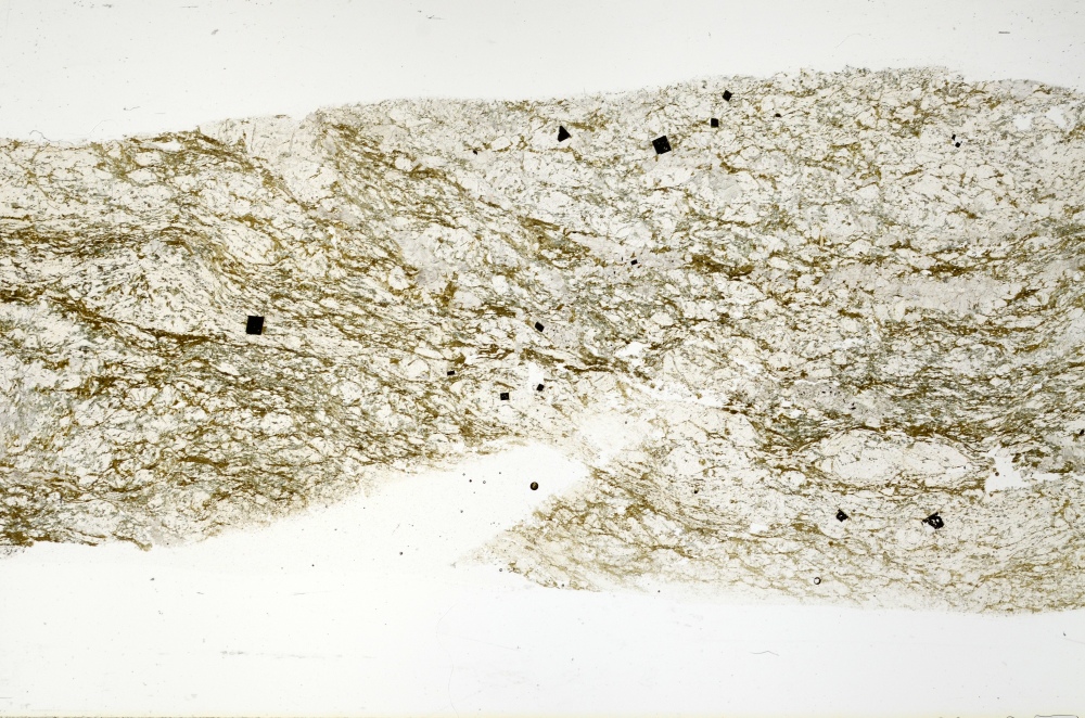 Plane Polarized, S71541