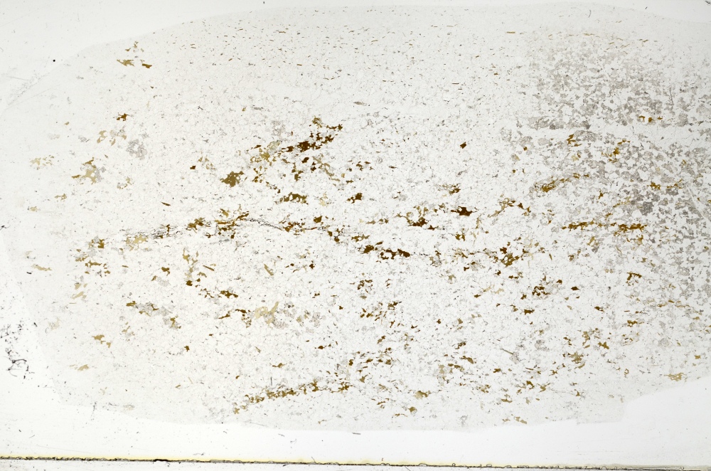 Plane Polarized, S71687